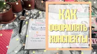 КАК ОФОРМЛЯТЬ КОНСПЕКТЫ // BACK TO SCHOOL