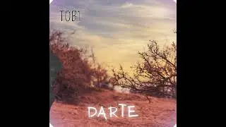 T0B1- Darte