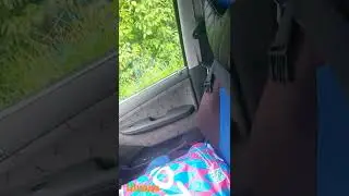 что за дичь ?