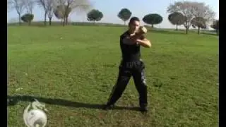 Kali Kalasag Sayaw