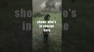 Endless Falling: The Infamous Red Dead Online Horse Glitch #shorts