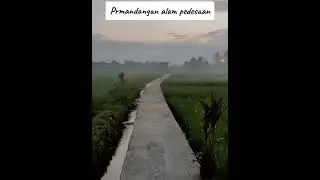 Alam pedesaan sejuk