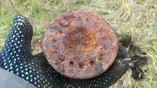 Лес подарил НАХОДКУ найденную на тх850