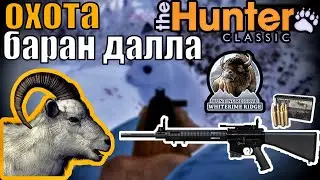 Пошёл На Барана Но Добыл Кучу Зверей The Hunter Classic