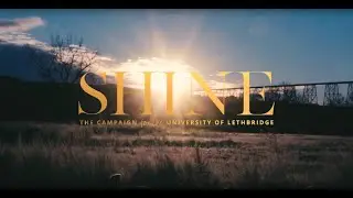 Together, We Shine Brighter