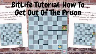 BitLife Tutorial: How To Get Out Of The Prison