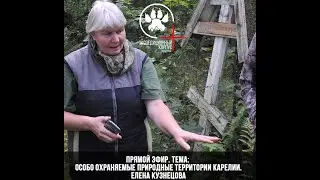 Петроглифы. Елена Кузнецова