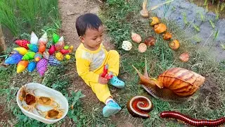 Petualangan di Sawah: Menemukan Keong, Bekicot, Kepiting, Luwing Kaki Seribu, dan Keong Warna-warni
