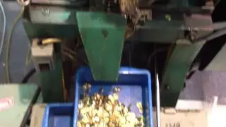 Button maker machine in China