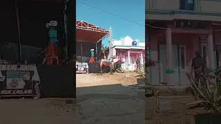 Kuda renggong #kudarenggong #kudasumedang