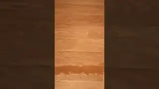 Брага из старого варенья убежала