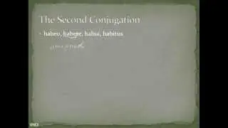 Second Conjugation Present Tense