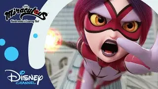 🐯 Pokaż pazur! | Miraculous: Biedronka i Czarny Kot | Disney Channel Polska