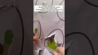 Telur Rahasia #funnyvideo #happy #viralshorts #viral #shorts #happybirthday #sensory #sensoryplay