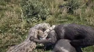 Farcry 4 Deathmatch Snow Leopards vs the Grey Wolves