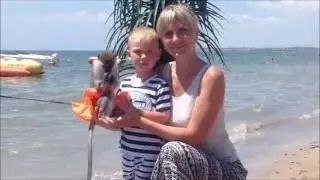 Влітку 2016...
