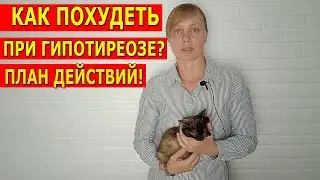 КАК ПОХУДЕТЬ ПРИ ГИПОТИРЕОЗЕ? ПЛАН ДЕЙСТВИЙ!