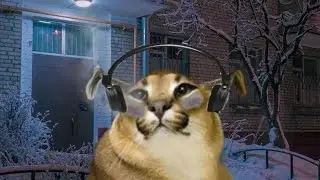 FLOPPA IS DOOMER 2