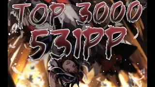REACHING TOP 3000 ON OSU | 531PP | (can you) understand me? (heh?) HDDT 99.6% FC