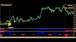 Часть8-Стратегия Fisher