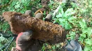 ЛЕСНАЯ ДОРОГА ТРАКОВ!!! (КОП МЕТАЛЛА)