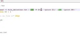 Search and print the delimiter of a file in Linux using shell Script
