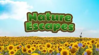 Nature Escapes - Collector's Edition - Hidden Object Games - iWin