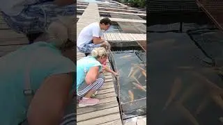 Сулакский каньон: 