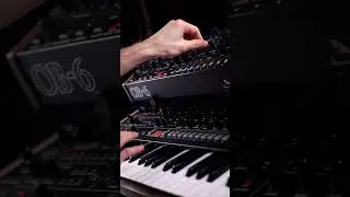Sequential OB-6 – House Chords Demo 