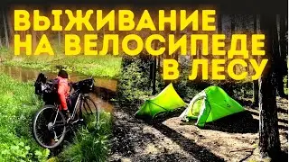 Выживание в лесу на велосипеде с палаткой. Заказник Стронга, усадьба и монастырь!