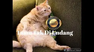 Tamu Tak Di Undang