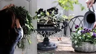 3 Beautiful Winter Viola Plantings | Simple Christmas Decorations