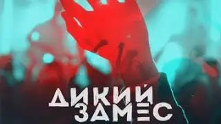 Дикий Замес
