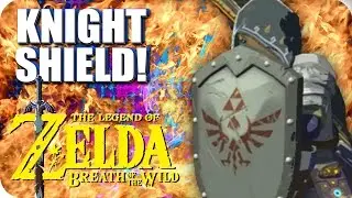 Getting a Knight Shield! - Zelda BOTW (Stream Highlight)