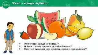 1-сынып. Жаратылыстану пәні. Өсімдік бөліктері