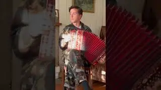 Вишня белоснежная цветёт🔥🍒