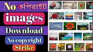 How To Download Copyright Free Images From Google 2020- Use Google Images Without Copyright Strike |