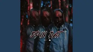 Spin Dat
