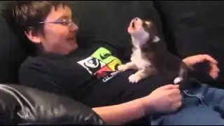 Милашка пёсик учится вить