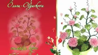 Куст роз 2
