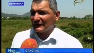 LENKERAN CAYCILIQ