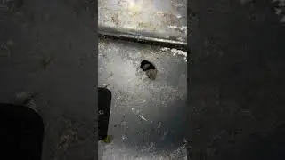 Yamaha outboard - Something is wrong here… #shorts