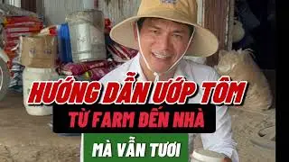 ƯỚP TÔM SAO CHO TƯƠI NGON I Trần Quang Huy Official