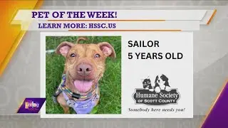 Pet of the Week | Sailor