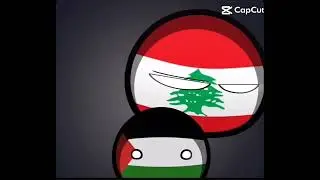 free Palestine 🇵🇸#savepalastine #savemasjidalaqsa #ytshorts