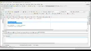 12 PLSQL Scalar DataTyps part1