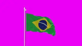 brazil green screen flag video