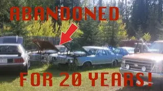 Will This ABANDONED Thunderbird RUN & DRIVE After Sitting for 20 Years!? *Quite Surprising Actually*