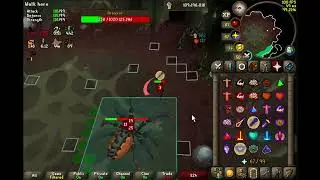 Perfect Araxxor 2 - GM Combat Achievements