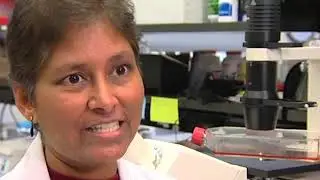 Kill or Cure - Killer Influenza - Trailer